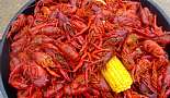 Food and Drink - Click to view photo 89 of 224. Boiled Crawfish